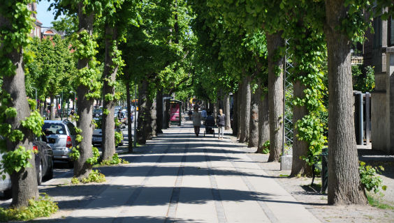 Byvandring på Frederiksberg